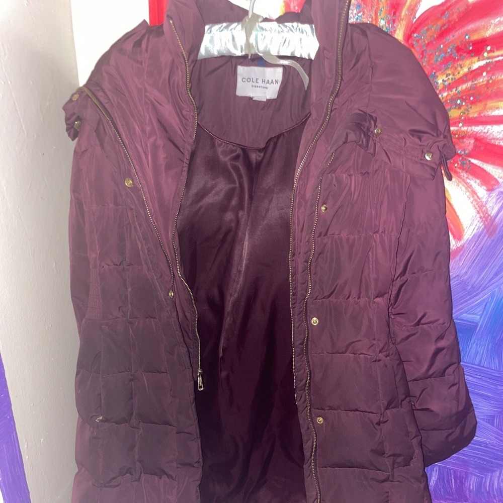 Can eggplant color long winter jacket